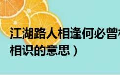 江湖路人相逢何必曾相识的意思（相逢何必曾相识的意思）