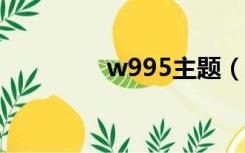 w995主题（w595c主题）