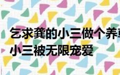 乞求龚的小三做个养尊处优的小三霸道又霸道小三被无限宠爱