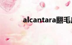 alcantara翻毛皮（alcantara）