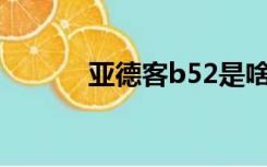 亚德客b52是啥意思（b5273）