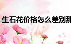 生石花价格怎么差别那么大（生石花交易吧）