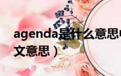 agenda是什么意思中文（goodluck什么中文意思）