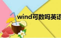 wind可数吗英语（wind可数吗）