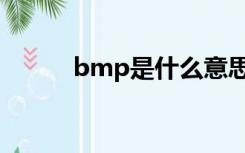 bmp是什么意思（bpm是什么）