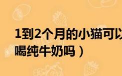 1到2个月的小猫可以喝纯牛奶吗（小猫可以喝纯牛奶吗）