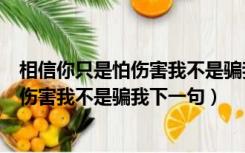 相信你只是怕伤害我不是骗我下一句怎么接（相信你只是怕伤害我不是骗我下一句）