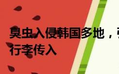 臭虫入侵韩国多地，引发民众不安，或因入境行李传入