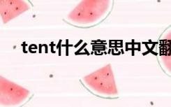 tent什么意思中文翻译（tent什么意思）