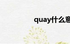 quay什么意思（quay）