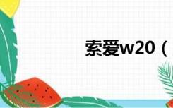 索爱w20（索爱w200）