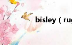 bisley（ruger bisley）