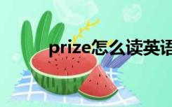 prize怎么读英语（prize怎么读）