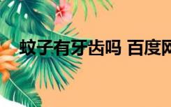 蚊子有牙齿吗 百度网盘（蚊子有牙齿吗）