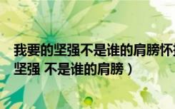 我要的坚强不是谁的肩膀怀抱是个不能停留的地方（我要的坚强 不是谁的肩膀）