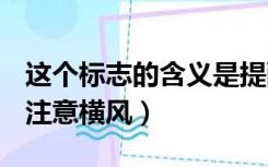 这个标志的含义是提醒车辆驾驶人注意横风（注意横风）