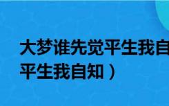 大梦谁先觉平生我自知刘伯温（大梦谁先觉 平生我自知）