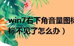 win7右下角音量图标不见了怎么办（音量图标不见了怎么办）