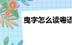 曳字怎么读粤语（曳字怎么读）