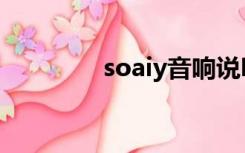 soaiy音响说明书（soaiy）