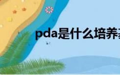 pda是什么培养基（pda是什么）