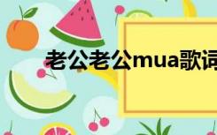 老公老公mua歌词（老公老公mua）