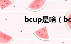 bcup是啥（bctrap什么意思）