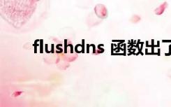 flushdns 函数出了问题（flushdns）