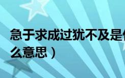 急于求成过犹不及是什么意思（过犹不及是什么意思）