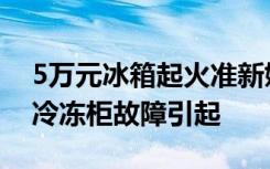 5万元冰箱起火准新娘命丧婚房，消防鉴定：冷冻柜故障引起