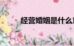 经营婚姻是什么意思（经营婚姻）