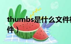 thumbs是什么文件格式（thumbs是什么文件）