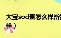 大宝sod蜜怎么样辨别真假（大宝sod蜜怎么样）