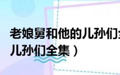 老娘舅和他的儿孙们全集回放（老娘舅和他的儿孙们全集）