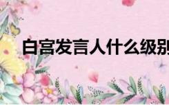 白宫发言人什么级别（白宫发言人提名）