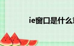 ie窗口是什么意思（ie窗口）