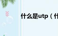 什么是utp（什么是UTRAN）