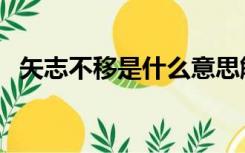 矢志不移是什么意思解释一下（矢志不移）