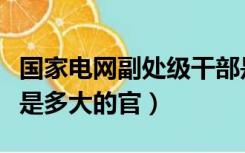 国家电网副处级干部是多大的官（副处级干部是多大的官）