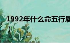 1992年什么命五行属什么命（1992年什么命）