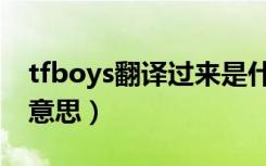 tfboys翻译过来是什么意思（tfboys是什么意思）