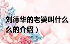 刘德华的老婆叫什么（关于刘德华的老婆叫什么的介绍）