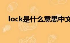 lock是什么意思中文（lock是什么意思）