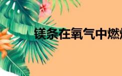 镁条在氧气中燃烧的现象（镁条）