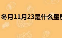 冬月11月23是什么星座（1月23是什么星座）