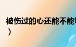 被伤过的心还能不能够（被伤过的心还能不能）