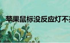 苹果鼠标没反应灯不亮（苹果鼠标没反应）