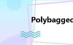 Polybagged（polybag）