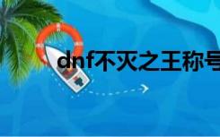 dnf不灭之王称号（dnf不灭之王）