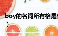 boy的名词所有格是什么（名词所有格是什么）